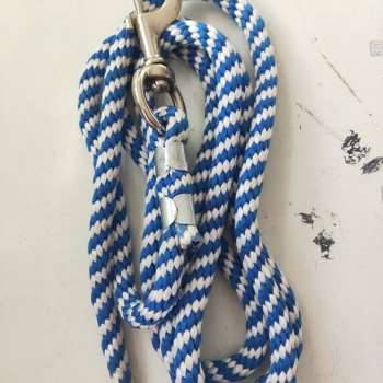 It's all white and blue